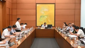 Đề cập đến cơ hội cho sự phát triển bền vững, công bằng hơn dành cho doanh nghiệp và xã hội