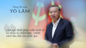 iệc áp dụng biện pháp kinh tế thay thế cho hình sự không chỉ tạo điều kiện thuận lợi cho doanh nghiệp mà còn góp phần thúc đẩy sự phát triển chung của nền kinh tế trong tương lai